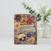 ヴィンテージはパンジーの種の包みを分類しました ポストカード (スタンド正面)