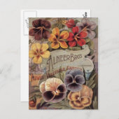 ヴィンテージはパンジーの種の包みを分類しました ポストカード (正面/裏面)