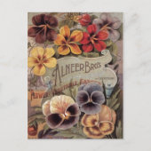 ヴィンテージはパンジーの種の包みを分類しました ポストカード (正面)