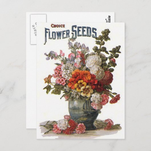 ヴィンテージは一年生植物種の包みを分類しました ポストカード (正面/裏面)