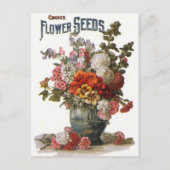 ヴィンテージは一年生植物種の包みを分類しました ポストカード (正面)