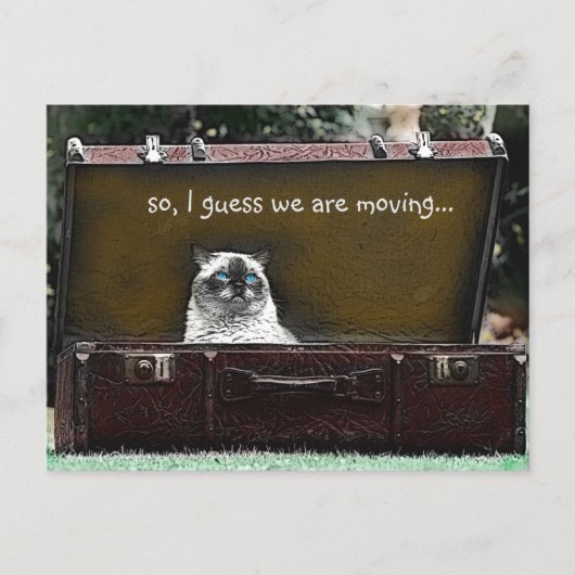 ヴィンテージは悲しそうな表情でスーツケースを動かしている 案内ポストカード (正面)