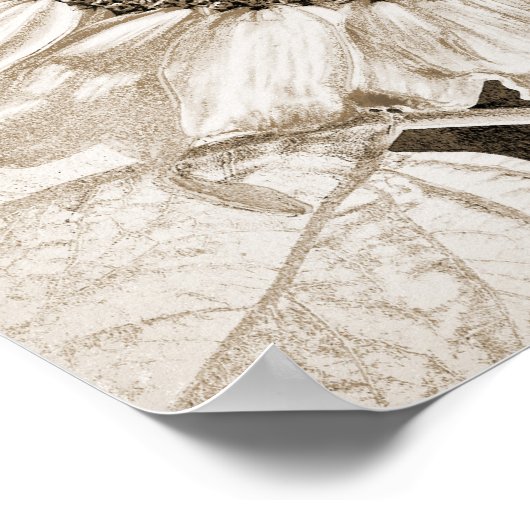 ヴィンテージひまわりセピアブラウンアートデクページ ポスター (角)