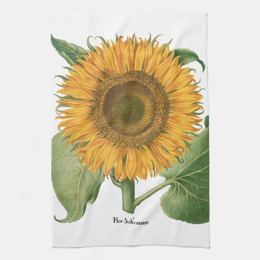 ヴィンテージひまわりフラワーバイバシリウスベスラー キッチンタオル