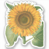 ヴィンテージひまわりフラワーバイバシリウスベスラー シール (正面)