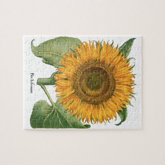ヴィンテージひまわりフラワーバイバシリウスベスラー ジグソーパズル (横)