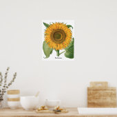 ヴィンテージひまわりフラワーバイバシリウスベスラー ポスター (キッチン)