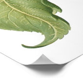 ヴィンテージひまわりフラワーバイバシリウスベスラー ポスター (角)