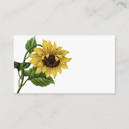 ヴィンテージひまわり移動 |新しいアドレス エンクロージャーカード (裏面)