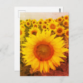 ヴィンテージひまわり素朴写真はがき ポストカード (正面/裏面)