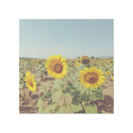 ヴィンテージひまわり ギャラリーラップ