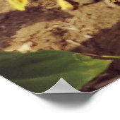 ヴィンテージひまわり ポスター (角)