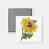 ヴィンテージひまわり マグネット (正面/裏面)