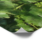 ヴィンテージぶどうポスター ポスター (角)