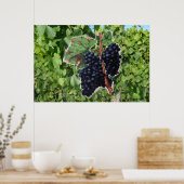 ヴィンテージぶどうポスター ポスター (キッチン)