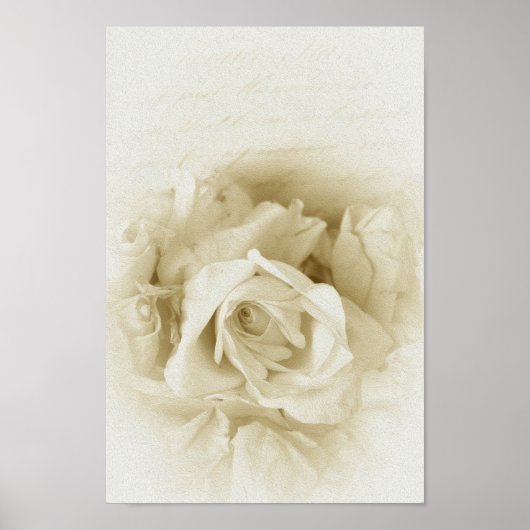 ヴィンテージみすぼらしいシックな白いバラとスクリプト ポスター (正面)