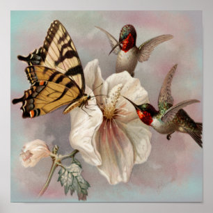 ヴィンテージを分かち合う鳥と蝶 ポスター