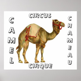 ヴィンテージを実行するラクダ回路 ポスター
