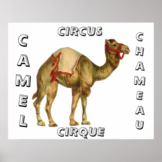 ヴィンテージを実行するラクダ回路 ポスター (正面)