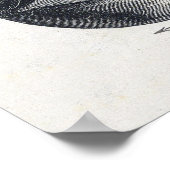 ヴィンテージアイイラストレーションポスター ポスター (角)