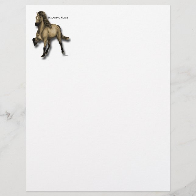 ヴィンテージアイスランド (正面)