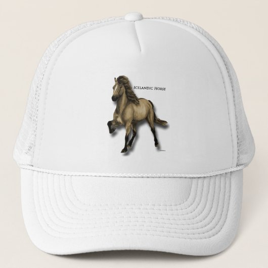 ヴィンテージアイスランド キャップ (正面)