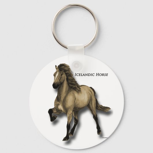 ヴィンテージアイスランド キーホルダー (正面)