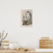 ヴィンテージアイスランド《鳥》ハヤブサバード ポスター (キッチン)