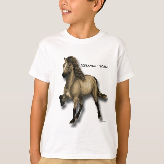 ヴィンテージアイスランド Tシャツ (正面)