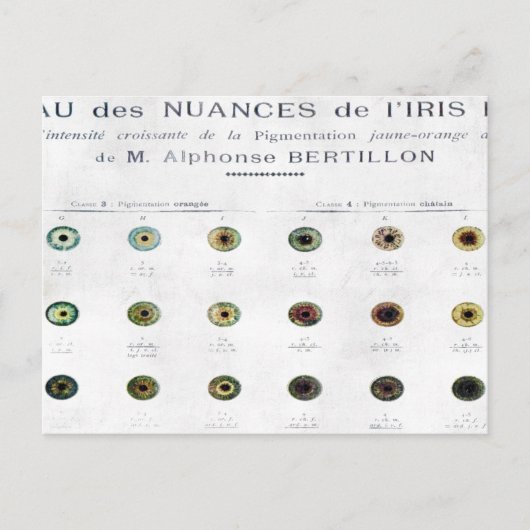 ヴィンテージアイリスカラーチャートはがき ポストカード (正面)