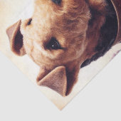 ヴィンテージアイレデールテリア絵画ズ 薄葉紙 (詳細)