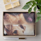 ヴィンテージアイレデールテリア絵画ズ 薄葉紙 (ギフト)