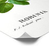 ヴィンテージアカシアイラストレーション ポスター (角)