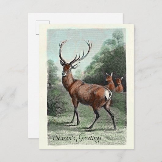 ヴィンテージアカデアスタッグ紅葉シーズンのご挨拶 ポストカード (正面/裏面)