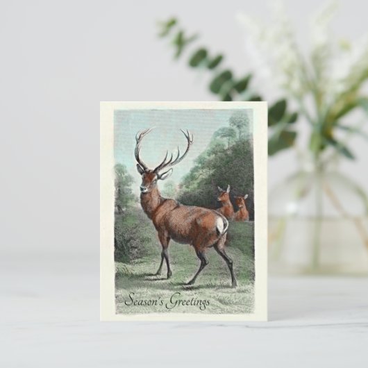 ヴィンテージアカデアスタッグ紅葉シーズンのご挨拶 ポストカード (スタンド正面)