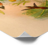 ヴィンテージアカハミングバードプリント花 ポスター (角)