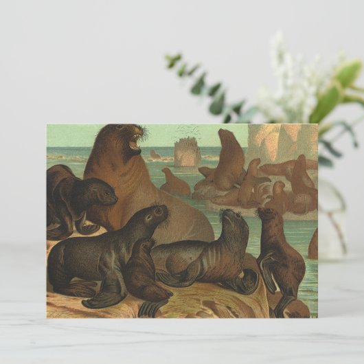 ヴィンテージアシカビーチ海洋生物動物 (スタンド正面)