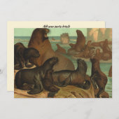 ヴィンテージアシカビーチ海洋生物動物 (正面/裏面)