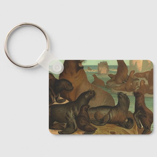 ヴィンテージアシカビーチ海洋生物動物 キーホルダー (裏面)