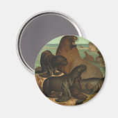 ヴィンテージアシカビーチ海洋生物動物 マグネット (正面/裏面)