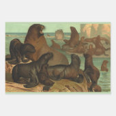 ヴィンテージアシカビーチ海洋生物動物 ラッピングペーパーシート (正面3)