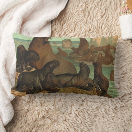 ヴィンテージアシカビーチ海洋生物動物 ランバークッション (ブランケット)