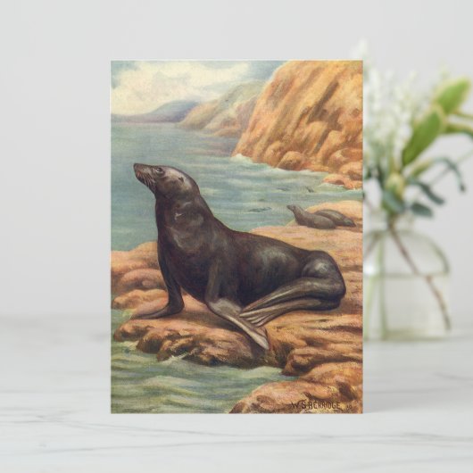 ヴィンテージアシカ海の海のそばの海の哺乳類 (スタンド正面)