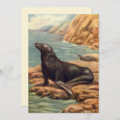 ヴィンテージアシカ海の海のそばの海の哺乳類 (正面/裏面)