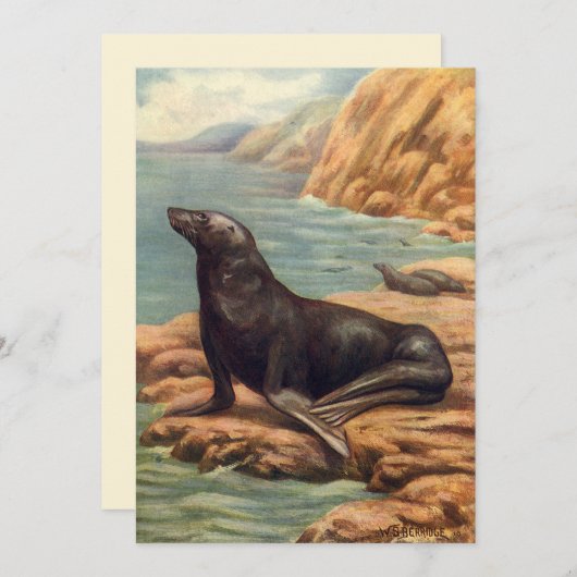 ヴィンテージアシカ海の海のそばの海の哺乳類 (正面/裏面)