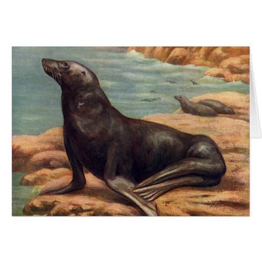 ヴィンテージアシカ海の海のそばの海の哺乳類 (正面横)