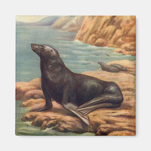 ヴィンテージアシカ海の海のそばの海の哺乳類 マグネット (正面)