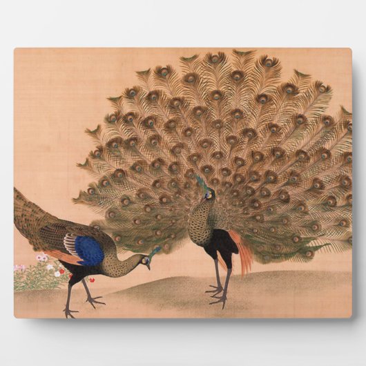 ヴィンテージアジアのピーコック フォトプラーク (正面)