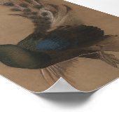 ヴィンテージアジアンピーコックアートプリント ポスター (角)