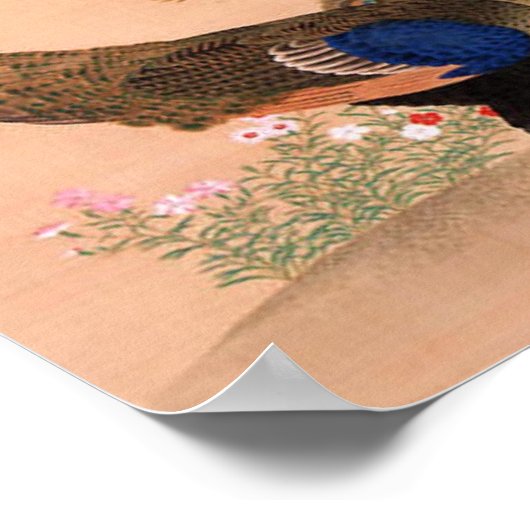 ヴィンテージアジア孔雀 ポスター (角)